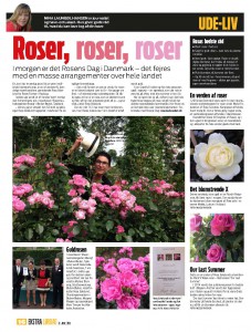 Rosens Dag i Ekstra Bladet